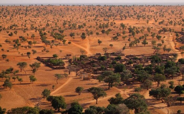 Descubren millones de árboles en el desierto del Sahara - Chapin TV