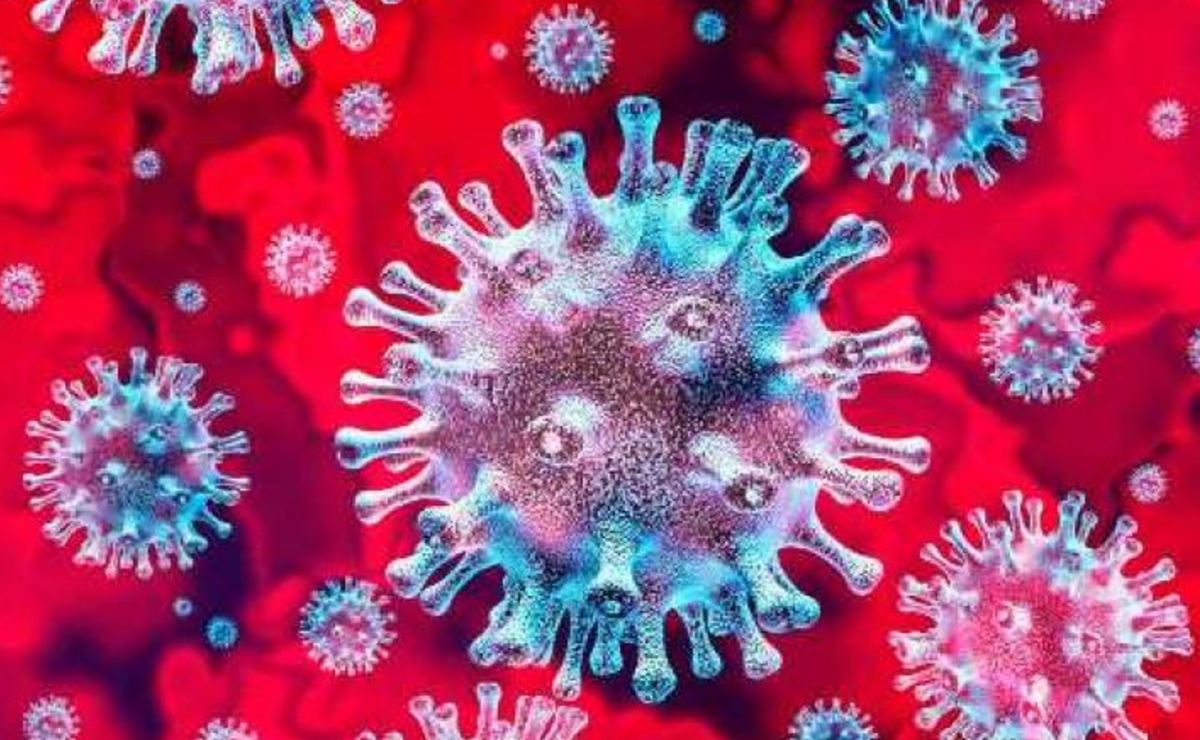 Cuál es la zona del cuerpo más inmune al coronavirus? - Chapin TV
