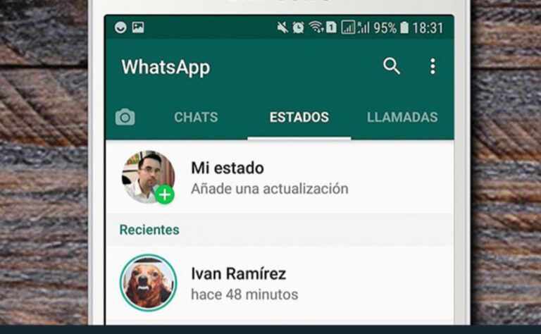 Whatsapp Como Descargar Los Estados En La Computadora Sin Programas Images