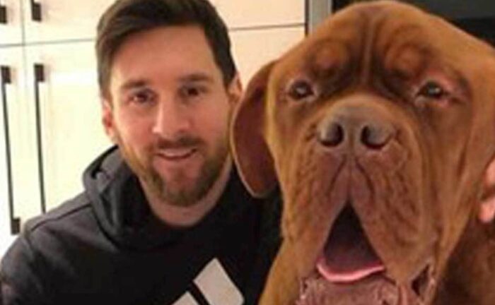 ¿Dónde está Hulk, el gigantesco perro de Messi?