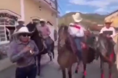 Caballo golpea a cantante durante desfile hípico en Santa Rosa 