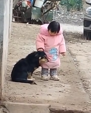 El tierno gesto de una niña hacia un perro asustado por los fuegos artificiales