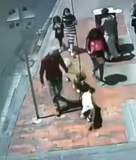 ¡Insólito! Le roban el perro guía a un abuelito (VIDEO)