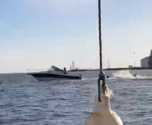 Momento en que ballena “aplasta” un yate con turistas