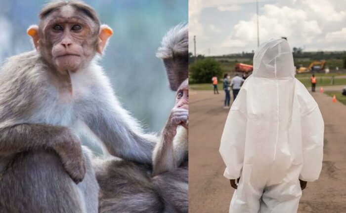 ¿La viruela del mono podría convertirse en pandemia?