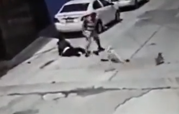 Pitbull ataca a una mujer de la tercera edad (VIDEO) 