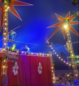 Acróbata cae durante actuación en el circo (VIDEO)