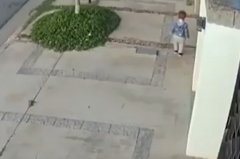 Bebé escapa de su casa y sus perros lo salvan