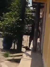 Hombre mató a golpes a una perrita (VIDEO) 