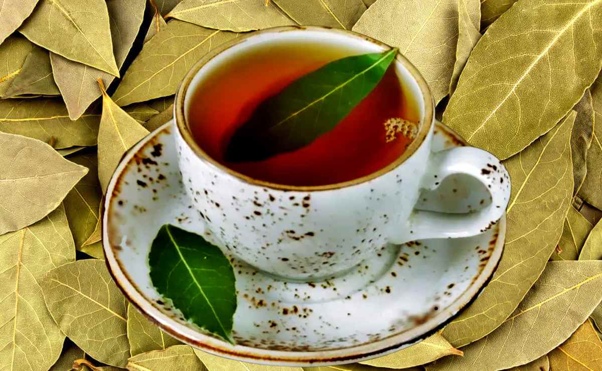 Cuáles son los beneficios de consumir té de laurel