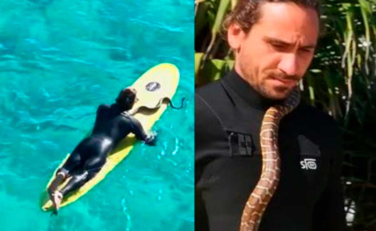 Deportista surfeó con una serpiente pitón en el cuello y esto sucedió