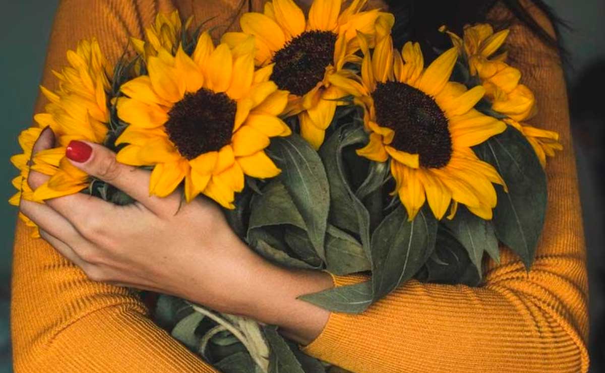 Por-qué-se-regalan-flores-amarillas-el-21-de-septiembre