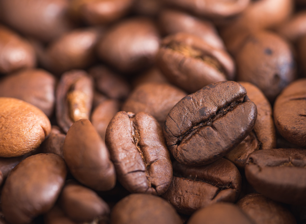 ¿Cuáles son los componentes del café?