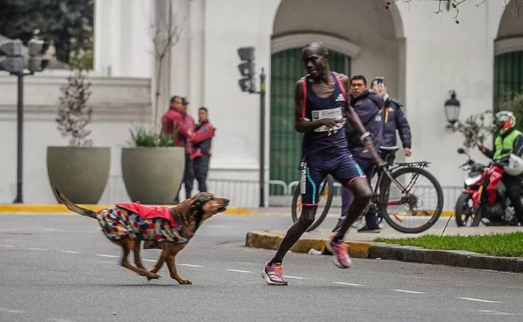 corredor-perdio-maraton-perro-ataco
