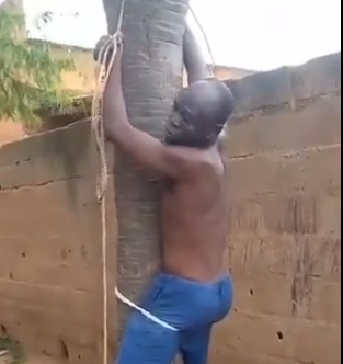 Atan a un árbol y azotan a jefe de aldea en Ghana por corrupción