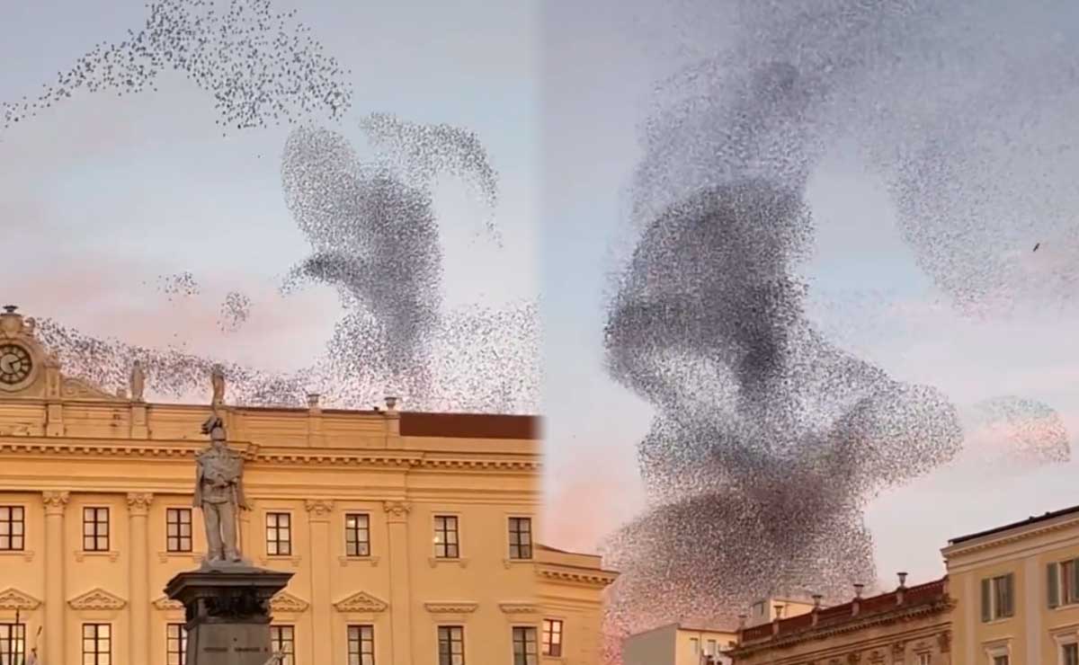 Aves crean peculiares formas en el cielo en Italia (VIDEO)