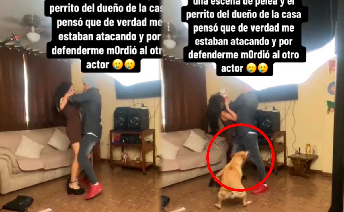 Perro mordió a actor durante pelea porque “pensó que era real”