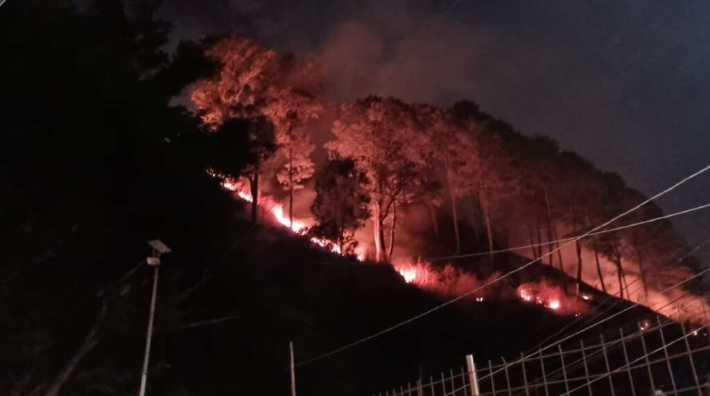 bomberos-evitaron-incendio-forestal-llegara-viviendas-ruta-pacifico