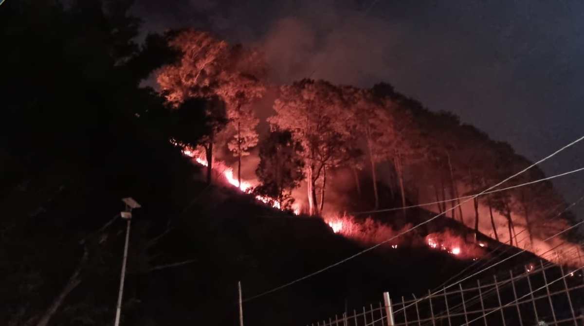 bomberos-evitaron-incendio-forestal-llegara-viviendas-ruta-pacifico