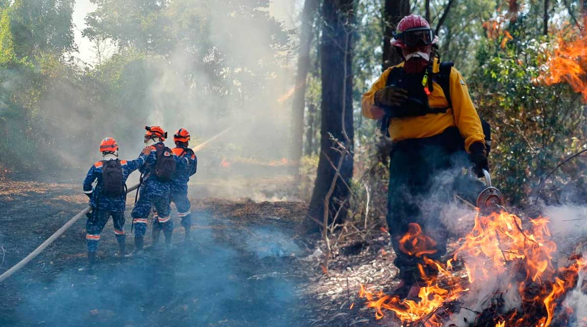 infierno-en-los-bosques-quienes-luchan-contra-los-incendios-forestales-guatemala
