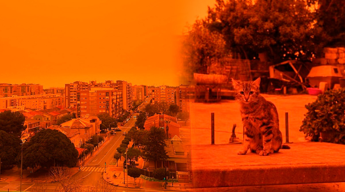 imagenes-de-la-apocaliptica-tormenta-de-arena-que-afecta-grecia