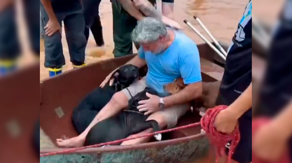 pese-a-su-estado-de-salud-hombre-participo-en-el-rescate-de-sus-perros-de-las-inundaciones-en-brasil